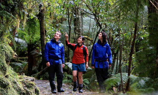 Franz Josef Glacier Guides (FJGG) has received Qualmark�s Enviro-Silver Award